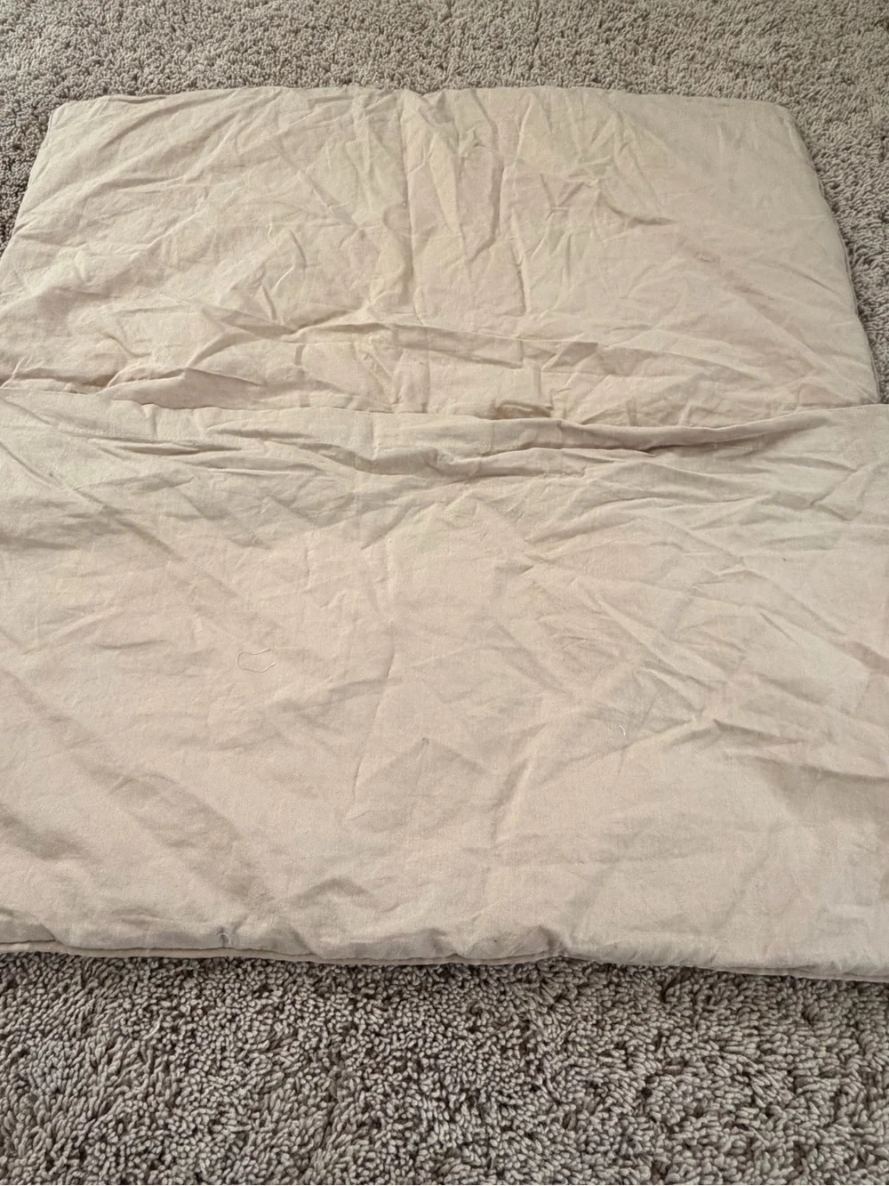 New anthropologie Claire cotton velvet satin euro sham champagne beige 26 x 26